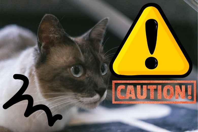 ポイント③：要注意！“5年ルール”が“10年ルール”に変更（＝節税の裏技が使いづらくなる）