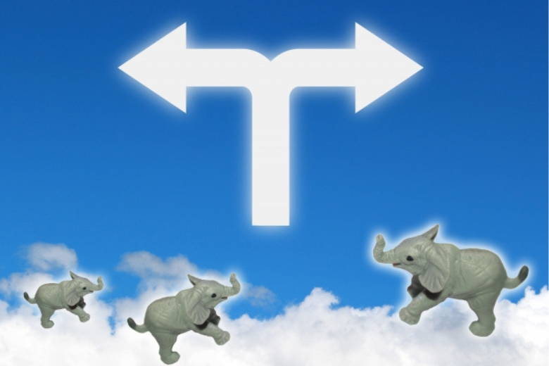 長年続く「集中か分散か」の論争