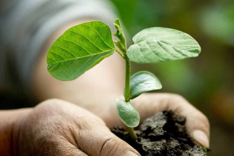 あなたの中にもある原動力