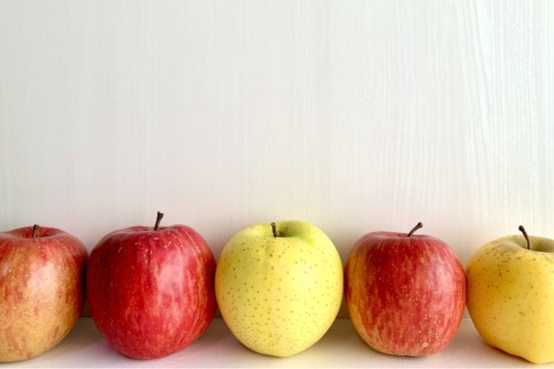 数字を正しく読む力が、収入戦略を変える